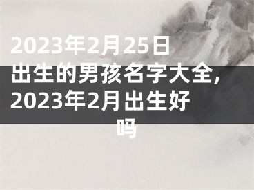 2023年2月25日出生的男孩名字大全,2023年2月出生好吗