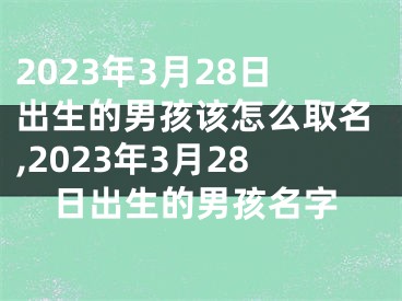 2023年3月28日出生的男孩该怎么取名,2023年3月28日出生的男孩名字