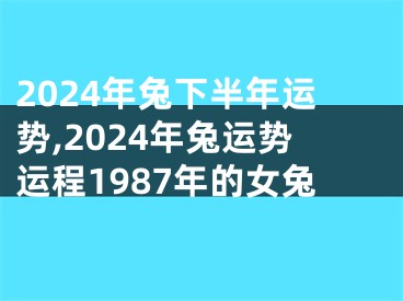 2024年兔下半年运势,2024年兔运势运程1987年的女兔