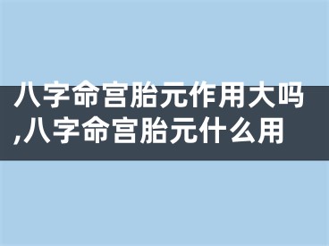 八字命宫胎元作用大吗,八字命宫胎元什么用