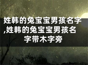 姓韩的兔宝宝男孩名字,姓韩的兔宝宝男孩名字带木字旁