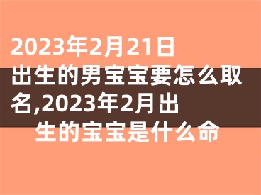 2023年2月21日出生的男宝宝要怎么取名,2023年2月出生的宝宝是什么命