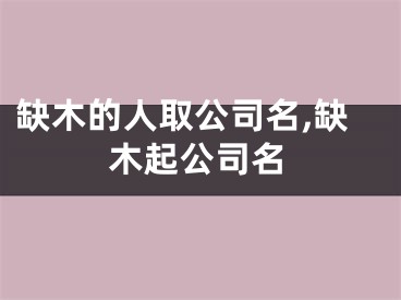缺木的人取公司名,缺木起公司名