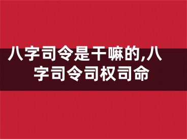 八字司令是干嘛的,八字司令司权司命