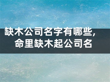 缺木公司名字有哪些,命里缺木起公司名