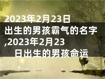 2023年2月23日出生的男孩霸气的名字,2023年2月23日出生的男孩命运