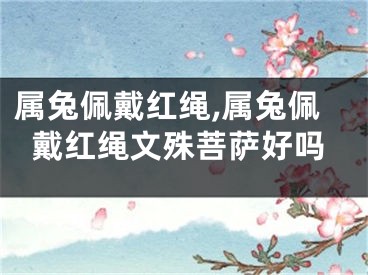 属兔佩戴红绳,属兔佩戴红绳文殊菩萨好吗