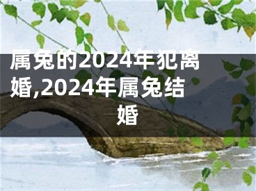 属兔的2024年犯离婚,2024年属兔结婚