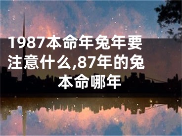 1987本命年兔年要注意什么,87年的兔本命哪年