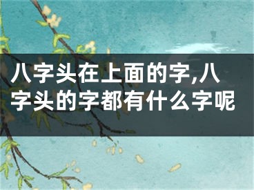 八字头在上面的字,八字头的字都有什么字呢