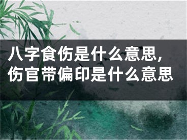 八字食伤是什么意思,伤官带偏印是什么意思