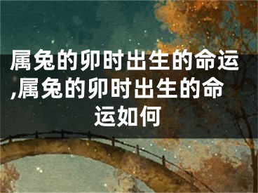 属兔的卯时出生的命运,属兔的卯时出生的命运如何