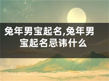 兔年男宝起名,兔年男宝起名忌讳什么