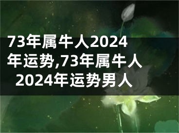 73年属牛人2024年运势,73年属牛人2024年运势男人
