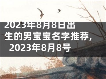2023年8月8日出生的男宝宝名字推荐,2023年8月8号