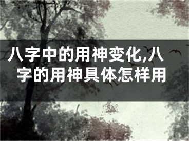 八字中的用神变化,八字的用神具体怎样用