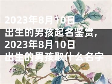 2023年8月10日出生的男孩起名鉴赏,2023年8月10日出生的男孩取什么名字