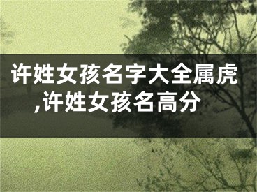 许姓女孩名字大全属虎,许姓女孩名高分