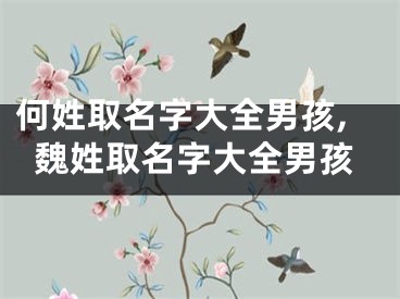 何姓取名字大全男孩,魏姓取名字大全男孩