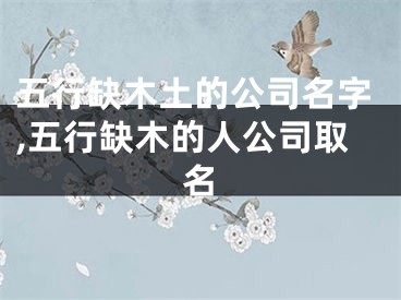 五行缺木土的公司名字,五行缺木的人公司取名