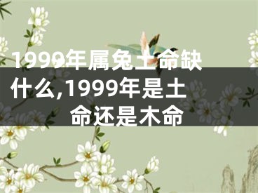 1999年属兔土命缺什么,1999年是土命还是木命