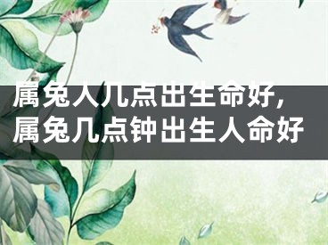 属兔人几点出生命好,属兔几点钟出生人命好