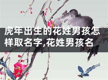 虎年出生的花姓男孩怎样取名字,花姓男孩名