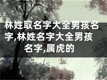 林姓取名字大全男孩名字,林姓名字大全男孩名字,属虎的