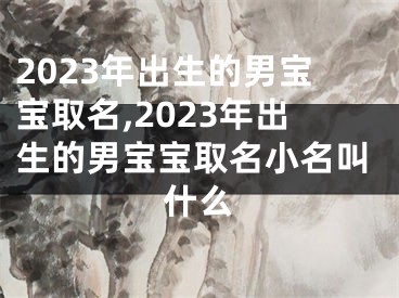 2023年出生的男宝宝取名,2023年出生的男宝宝取名小名叫什么