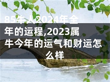 85牛人2024年全年的运程,2023属牛今年的运气和财运怎么样