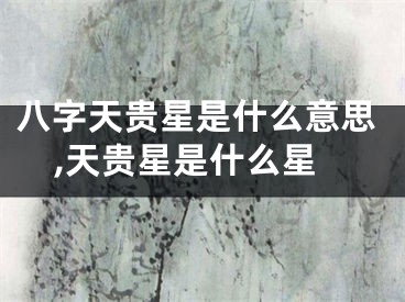 八字天贵星是什么意思,天贵星是什么星