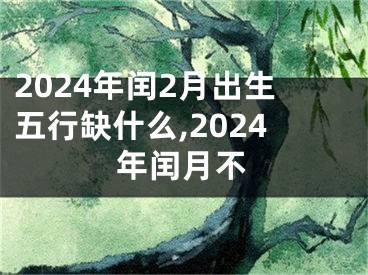 2024年闰2月出生五行缺什么,2024年闰月不