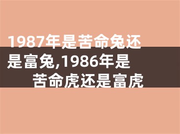 1987年是苦命兔还是富兔,1986年是苦命虎还是富虎