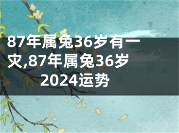 87年属兔36岁有一灾,87年属兔36岁2024运势