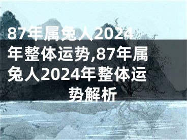 87年属兔人2024年整体运势,87年属兔人2024年整体运势解析