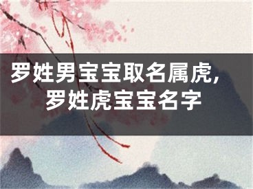 罗姓男宝宝取名属虎,罗姓虎宝宝名字