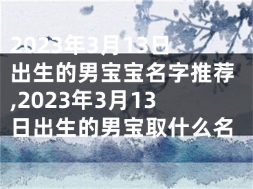 2023年3月13日出生的男宝宝名字推荐,2023年3月13日出生的男宝取什么名