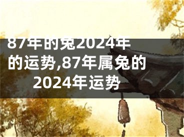 87年的兔2024年的运势,87年属兔的2024年运势