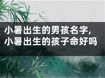 小暑出生的男孩名字,小暑出生的孩子命好吗