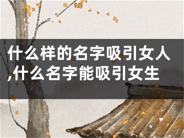 什么样的名字吸引女人,什么名字能吸引女生