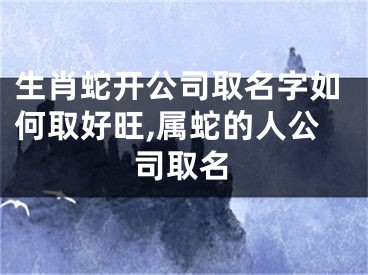 生肖蛇开公司取名字如何取好旺,属蛇的人公司取名