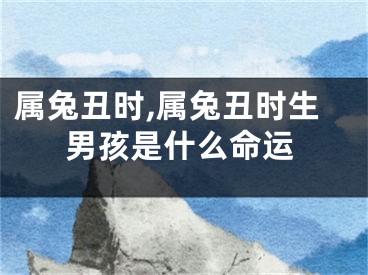 属兔丑时,属兔丑时生男孩是什么命运