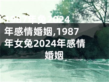 1987年兔2024年感情婚姻,1987年女兔2024年感情婚姻