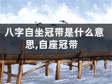 八字自坐冠带是什么意思,自座冠带