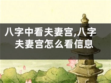 八字中看夫妻宫,八字夫妻宫怎么看信息