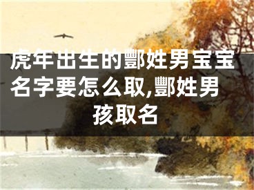 虎年出生的酆姓男宝宝名字要怎么取,酆姓男孩取名