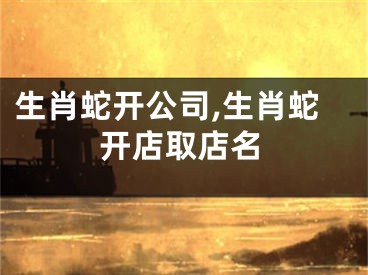 生肖蛇开公司,生肖蛇开店取店名