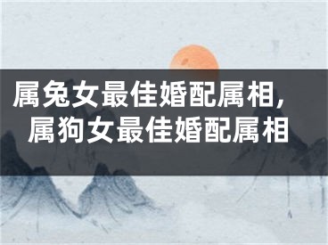属兔女最佳婚配属相,属狗女最佳婚配属相
