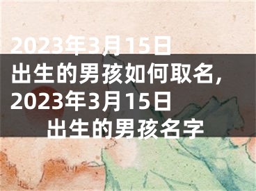 2023年3月15日出生的男孩如何取名,2023年3月15日出生的男孩名字