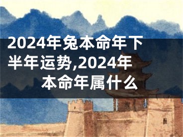 2024年兔本命年下半年运势,2024年本命年属什么